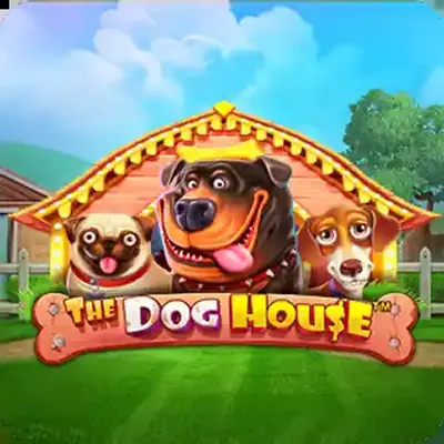 Caswino888 info The Dog House